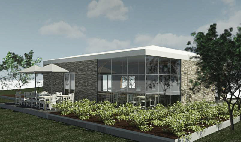 Organic - image 5